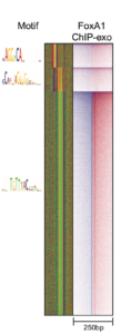 Example of ChExMix analysis